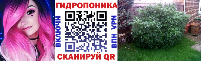 Магазины продажи наркотиков Воскресенск Псилоцибиновые грибы  МАРИХУАНА  Codein  АМФЕТАМИН  Cocaine 